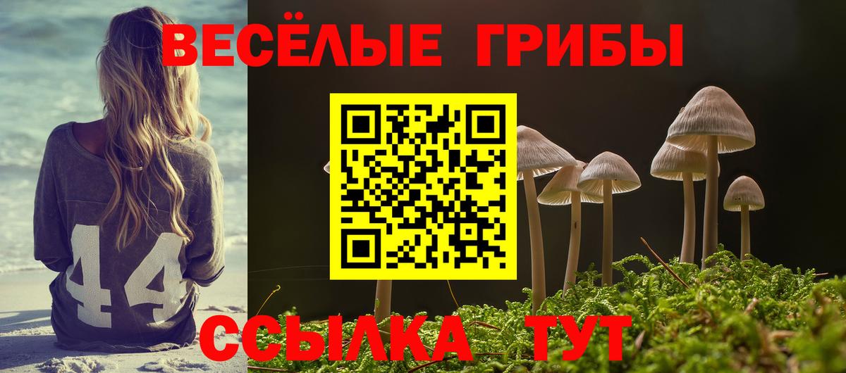 Джанкой  дарнет шоп  Вход с VPN  Галлюциногенные грибы Psilocybine cubensis 